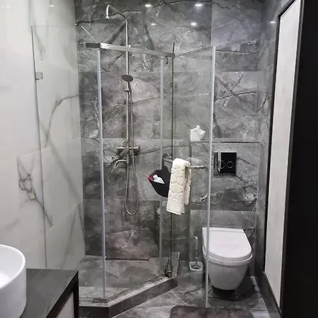 Apartment Iancu